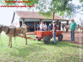 Curso de Doma realizado na Fazenda Deserto