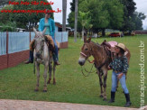 Curso de Doma realizado na Fazenda Deserto