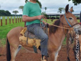 Curso de Doma realizado na Fazenda Deserto