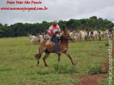 Curso de Doma realizado na Fazenda Deserto