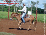 Curso de Doma realizado na Fazenda Deserto