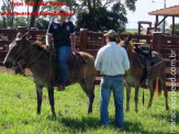 Curso de Doma realizado na Fazenda Deserto