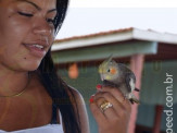 Curso de Doma realizado na Fazenda Deserto