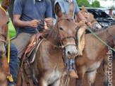 Curso de Doma realizado na Fazenda Deserto