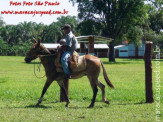 Curso de Doma realizado na Fazenda Deserto