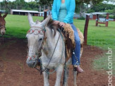 Curso de Doma realizado na Fazenda Deserto