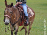 Curso de Doma realizado na Fazenda Deserto