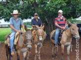 Curso de Doma realizado na Fazenda Deserto