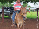 Curso de Doma realizado na Fazenda Deserto