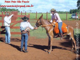 Curso de Doma realizado na Fazenda Deserto