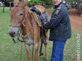 Curso de Doma realizado na Fazenda Deserto