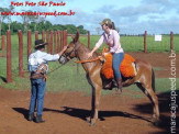 Curso de Doma realizado na Fazenda Deserto