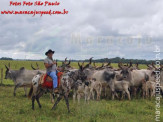 Curso de Doma realizado na Fazenda Deserto