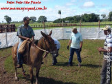 Curso de Doma realizado na Fazenda Deserto