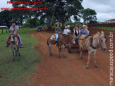 Curso de Doma realizado na Fazenda Deserto