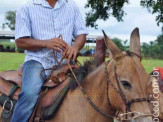 Curso de Doma realizado na Fazenda Deserto