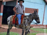 Curso de Doma realizado na Fazenda Deserto