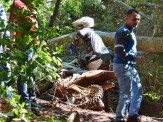 III Enduro Vô Zizo