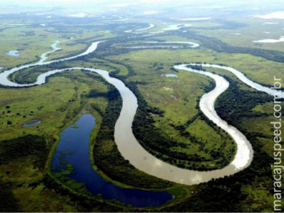 Pantanal é eleito um dos melhores destinos de vida selvagem no mundo