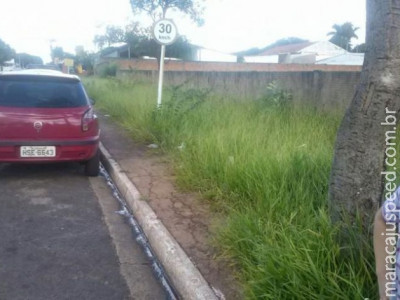 Motorista se revolta por ter sido multado ao estacionar em área permitida