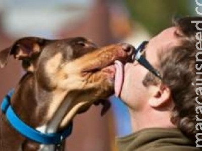 Beijar seu cachorro talvez seja bom para a sua saúde, dizem pesquisadores