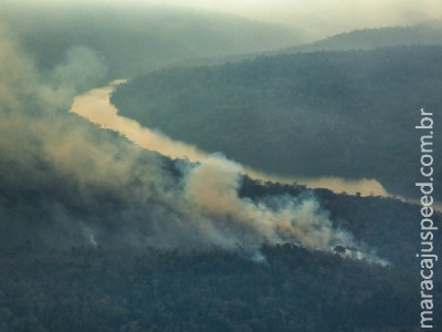 Incêndio devasta há 2 meses resquício de floresta amazônica no Maranhão