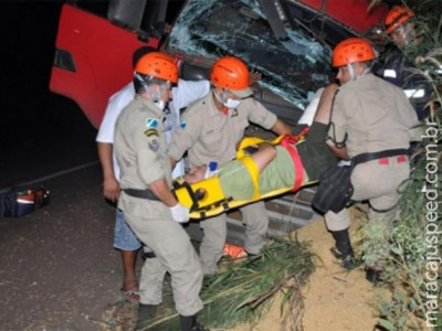 Passageiro de caminhão morre após ser arremessado em colisão com árvore