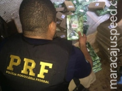 PRF apreende mais de 104 quilos de cocaína em caminhão de mudança