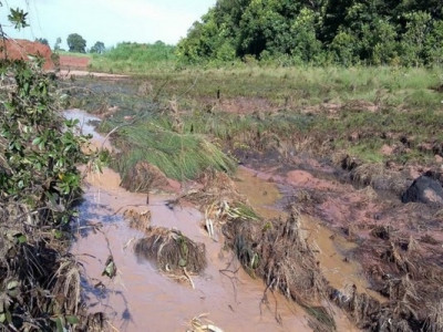 Proprietário rural leva multa de R$ 10 mil por dano ambiental