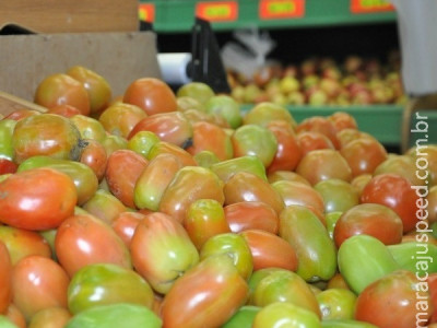 Tomate sobe 46,83% e puxa cesta básica em Campo Grande, diz Dieese