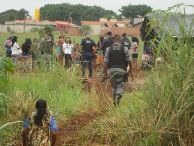 Juiz concede liminar para tirar índios de sítios ocupados