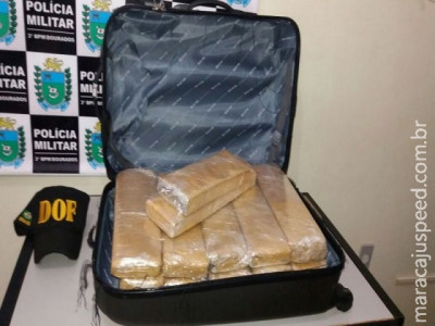 Adolescente é apreendida pelo DOF levando 21 kg de maconha para Itajaí/SC