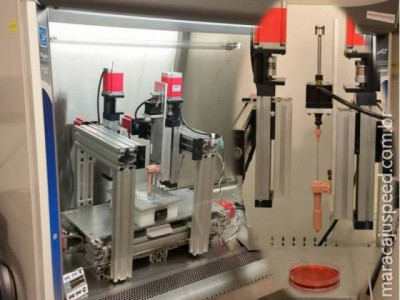 Pesquisadores produzem cartilagem em impressora 3D