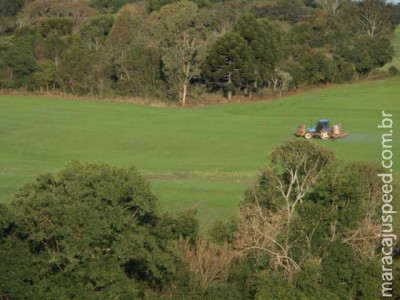 Fertilizante na medida certa