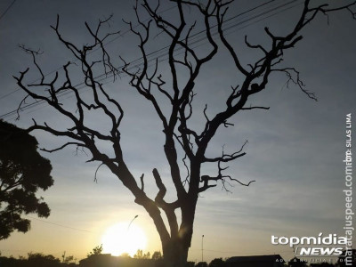 Preparem o umidificador! Fim de semana será seco e com temperaturas de 35°C