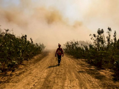 Incêndios já consumiram quase 2 milhões de hectares no Pantanal de MS