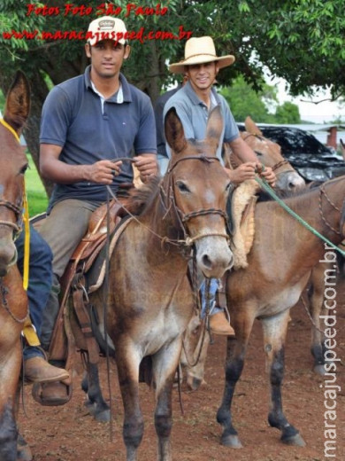 Curso de Doma realizado na Fazenda Deserto