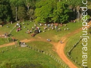 União deve demarcar terras indígenas e indenizar fazendeiros por terras ocupadas no MS 