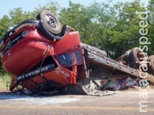 Motorista tenta desviar de animal e caminhão capota