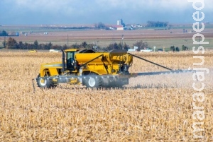 Brasileiro consome 5,2 litros de agrotóxico por ano