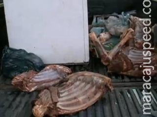 Polícia Militar descobre abatedouro clandestino e encontra 750 kg de carne de jumento 