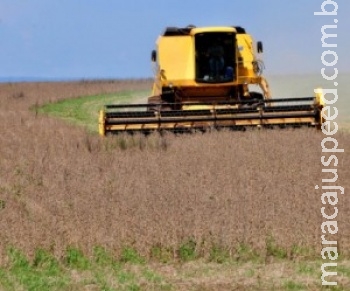 Colheita da soja atinge 95% da área e entra na reta final em MS