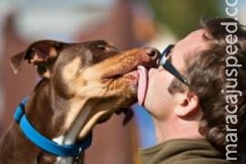 Beijar seu cachorro talvez seja bom para a sua saúde, dizem pesquisadores