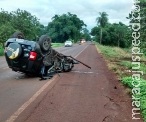 Caminhão que transportava porcos e carro batem; três ficam feridos