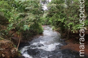 Mulher que morreu em cachoeira foi presa por arrancar testículos de rapaz