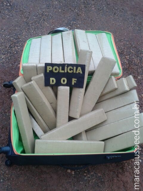 DOF apreende catarinense de 15 anos em ônibus, com mais de trinta quilos de maconha