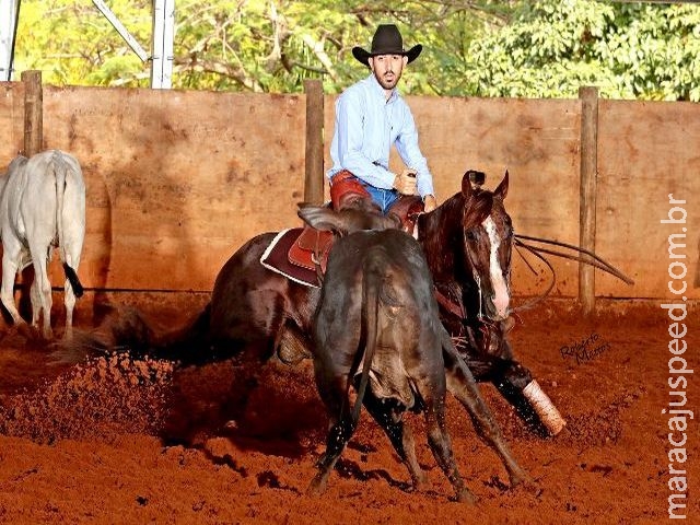 Campeão em MS, quarto de milha competirá no maior torneio da raça