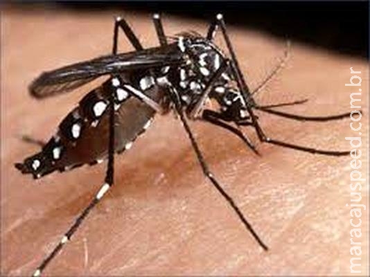 Seceretaria de Saúde do MS confirma morte por dengue em Maracaju