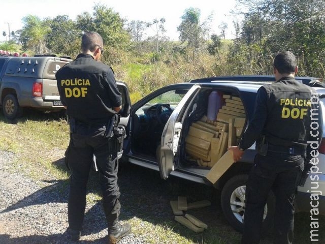 Mais de 1 tonelada de maconha é apreendida pelo DOF, em sequência de ocorrências em Bela Vista