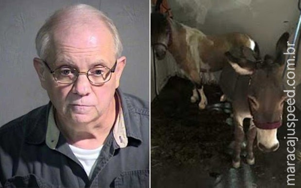 Homem é preso ao viajar para o Arizona para fazer sexo com cavalo